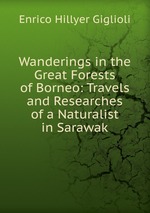 Wanderings in the Great Forests of Borneo: Travels and Researches of a Naturalist in Sarawak