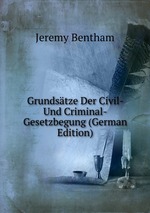 Grundstze Der Civil- Und Criminal-Gesetzbegung (German Edition)