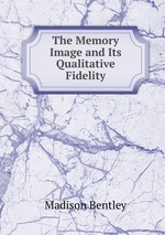 The Memory Image and Its Qualitative Fidelity