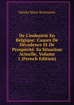 De L`industrie En Belgique: Causes De Dcadence Et De Prosprit. Sa Situation Actuelle, Volume 1 (French Edition)