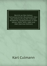 Bericht an Den Hohen Schweizerischen Bundesrath ber Die Untersuchung Der Schweiz: Wildbche, Vorgenommen in Den Jahren 1858, 1859, 1860 Und 1863 (German Edition)