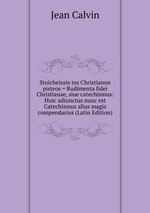 Stoicheiosis tes Christianon pisteos = Rudimenta fidei Christianae, siue catechismus: Huic adiunctus nunc est Catechismus alius magis compendarius (Latin Edition)