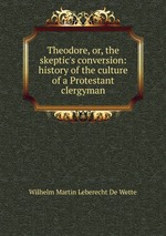 Theodore, or, the skeptic`s conversion: history of the culture of a Protestant clergyman