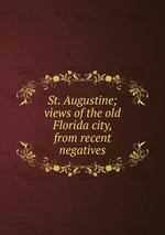 St. Augustine; views of the old Florida city, from recent negatives