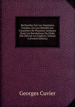 Recherches Sur Les Ossemens Fossiles, Ou L`on Rtablit Les Caractres De Plusieurs Animaux Dont Les Rvolutions Du Globe Ont Dtruit Les Espces, Volume 4 (French Edition)