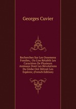 Recherches Sur Les Ossemens Fossiles,: Ou L`on Rtablit Les Caractres De Plusieurs Animaux Dont Les Rvolutions Du Globe Ont Dtruit Les Espces; (French Edition)