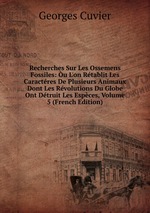 Recherches Sur Les Ossemens Fossiles: u L`on Rtablit Les Caractres De Plusieurs Animaux Dont Les Rvolutions Du Globe Ont Dtruit Les Espces, Volume 5 (French Edition)