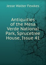 Antiquities of the Mesa Verde National Park, Sprucetree House, Issue 41