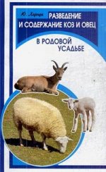 Разведение и содержание коз и овец в родовой усадьбе