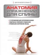Анатомия упражнений для спины