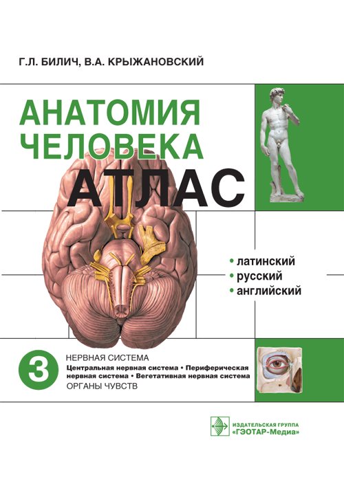 Анатомия человека. Атлас. В трех томах. Том 3. Нервная система