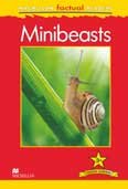 Minibeasts Reader