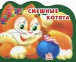 Смешные котята. Солнышко