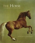 Horse: Celebration of Horses in Art (430 x 353 mm)