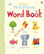 First Picture Word Book (board book)