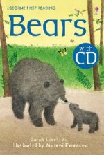 Bears   +D
