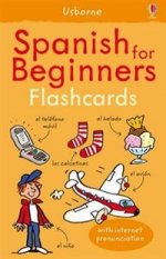 Spanish for Beginners flashcards (100 cards)