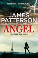 Maximum Ride: Angel ***