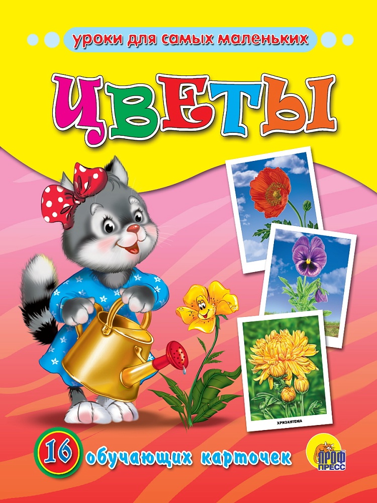 ОБУЧАЮЩИЕ КАРТОЧКИ. ЦВЕТЫ