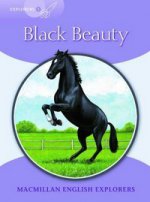 Black Beauty Reader