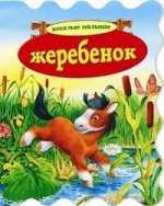 Жеребенок