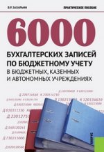 6000 бухгалтерских записей по бюджетному учету в бюджетных.Практ.пос