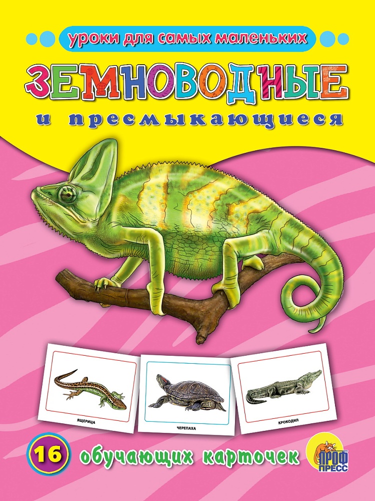 ОБУЧАЮЩИЕ КАРТОЧКИ. ЗЕМНОВОДНЫЕ И ПРЕСМЫКАЮЩИЕСЯ