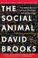 Social Animal: Sources of Love, Character & Achievement (TPB)