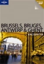 Brussels, Bruges, Antwerp & Ghent Encounter