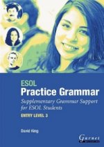 ESOL Practice Grammar  Level 3
