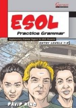 ESOL Practice Grammar  Levels 1-2