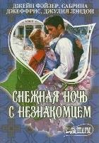 Снежная ночь с незнакомцем