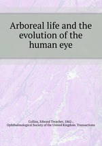 Arboreal life and the evolution of the human eye