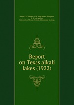 Report on Texas alkali lakes (1922)