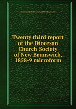 Twenty third report of the Diocesan Church Society of New Brunswick, 1858-9 microform