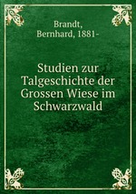 Studien zur Talgeschichte der Grossen Wiese im Schwarzwald
