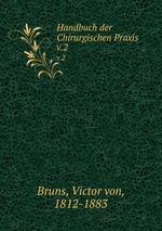Handbuch der Chirurgischen Praxis. v.2