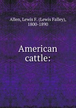 American cattle: