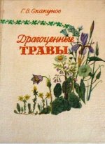 Драгоценные травы:Дикорастущие цветы Кузбасса