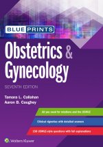 Blueprints Obstetrics and Gynecology 7e (PDF)