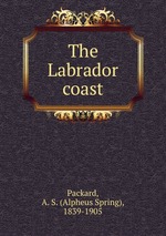 The Labrador coast