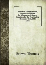 Report of Thomas Brown, Inspector of Mines for Allegany and Garrett Counties, for the Year Ending December 31st, 1881.. 1882