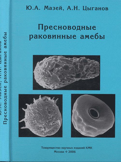 Пресноводные раковинные амебы