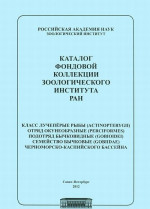 Каталог фондовой коллекции Зоологического института РАН. Класс лучеперые рыбы