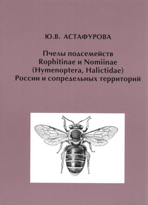 Пчелы подсемейств Rophitinae и Nomiinae (Hymenoptera, Halictidae) России и сопредельных территорий