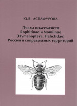 Пчелы подсемейств Rophitinae и Nomiinae (Hymenoptera, Halictidae) России и сопредельных территорий