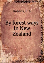 By forest ways in New Zealand
