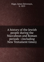A history of the Jewish people during the Maccabean and Roman periods : (including New Testament times)