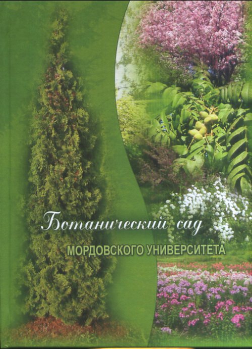 Древний мир: Культура и власть