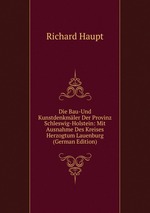 Die Bau-Und Kunstdenkmler Der Provinz Schleswig-Holstein: Mit Ausnahme Des Kreises Herzogtum Lauenburg (German Edition)